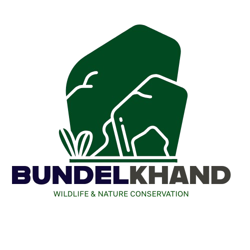 Bundelkhand Wildlife Logo