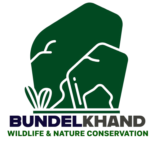 Bundelkhand Wildlife Logo